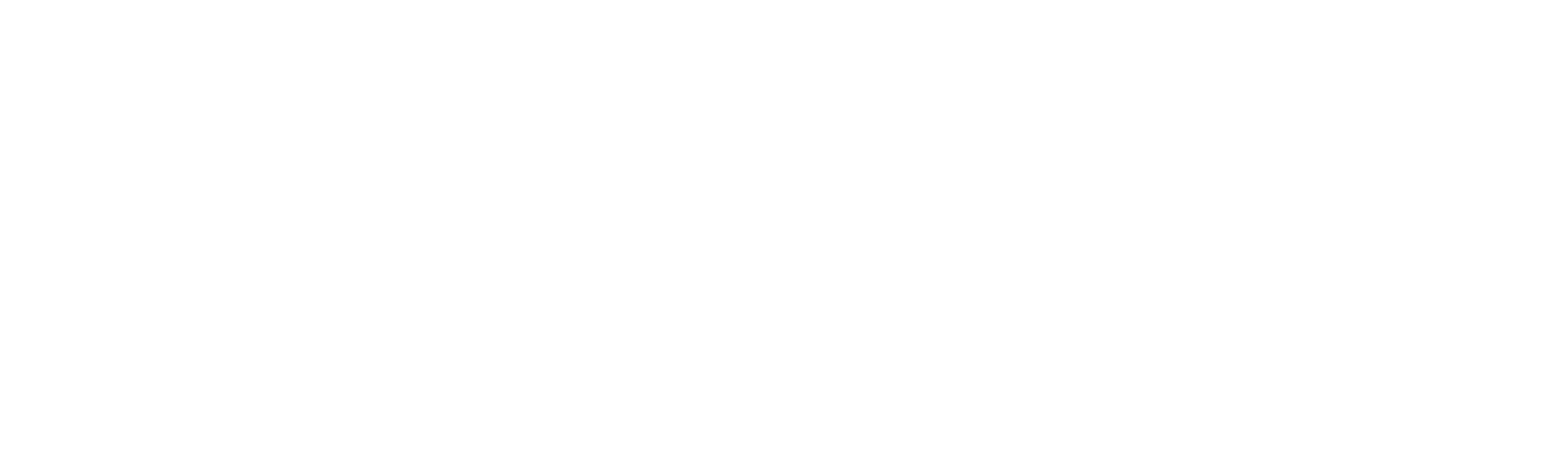 shlokasagro.com